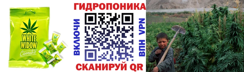 Canna-Cookies конопля  mega рабочий сайт  Удачный  купить закладку 