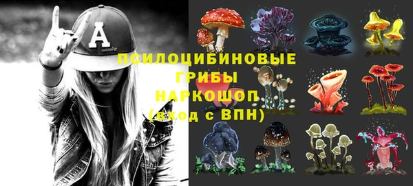 бутират Алзамай