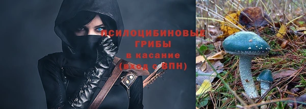 эйфоретик Алексин